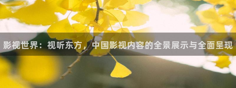 电影泡泡影视