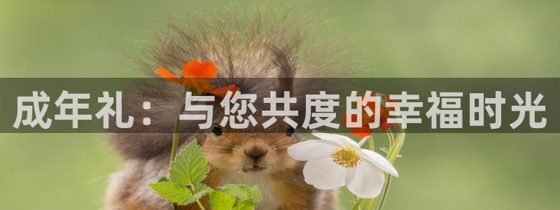 泡泡影视免费观看：成年礼：与您共度的幸福时光