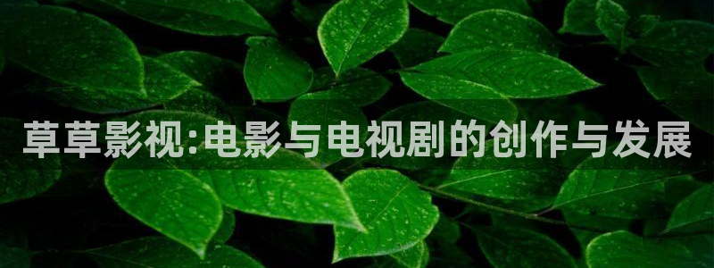 生殖器上长了一片小泡泡