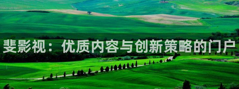 泡泡影视手机电影网：斐影视：优质内容与创新策略的门户