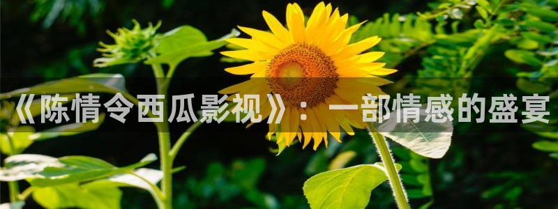 泡泡影视天堂网：《陈情令西瓜影视》：一部情感的盛宴