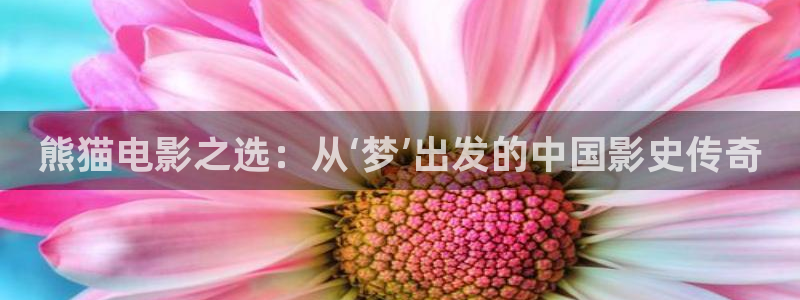 泡沫泡泡：熊猫电影之选：从‘梦’出发的中国影史传奇