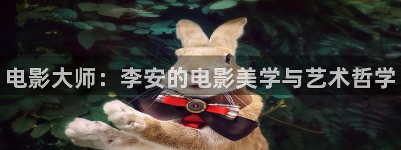 泡泡影院手机在线观看：电影大师：李安的电影美学与艺术哲学