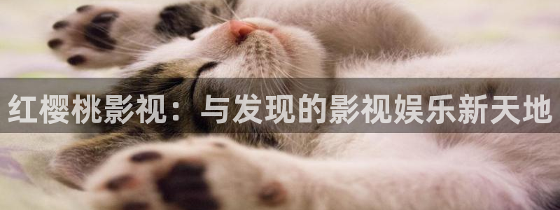 泡泡影视大全app：红樱桃影视：与发现的影视娱乐新天地